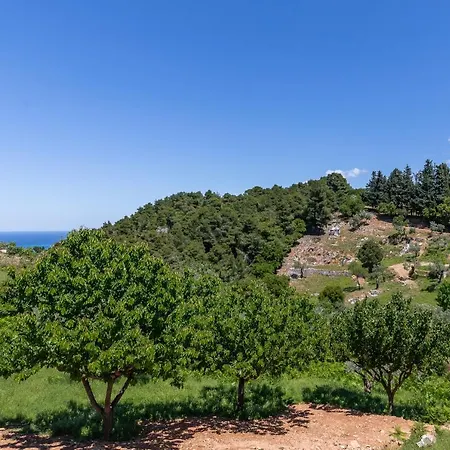 Pefkias Tiny Case de vacanță Skopelos