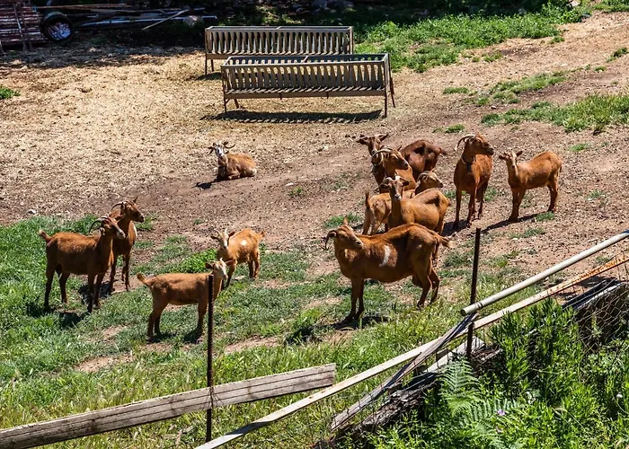 Pefkias Tiny Сasa de vacaciones Skopelos